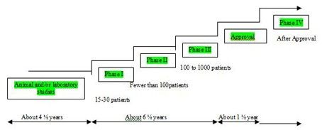 The phase IV of the clinical trial